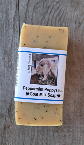 Peppermint Poppyseed Bar